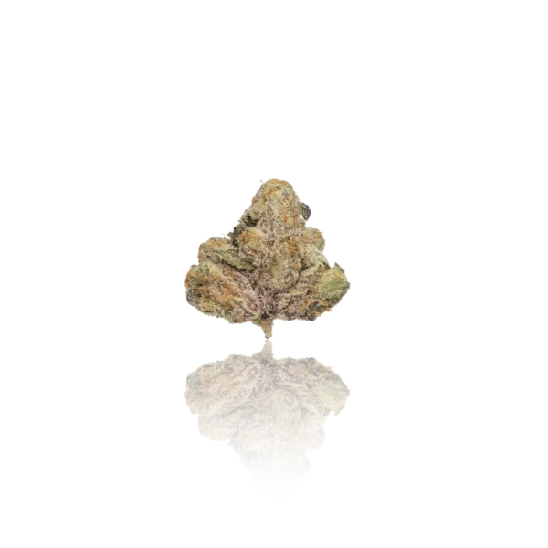 Authentic Pixxl Premium Flower 3.5g - Image 2