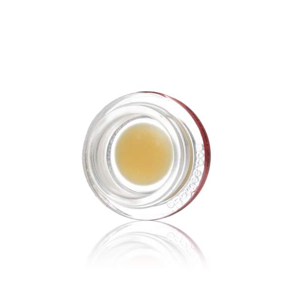 Authentic Punch Extracts BHO Badder - Image 2