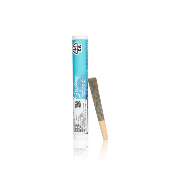 Authentic Sessions Infused Pre-Roll 1G