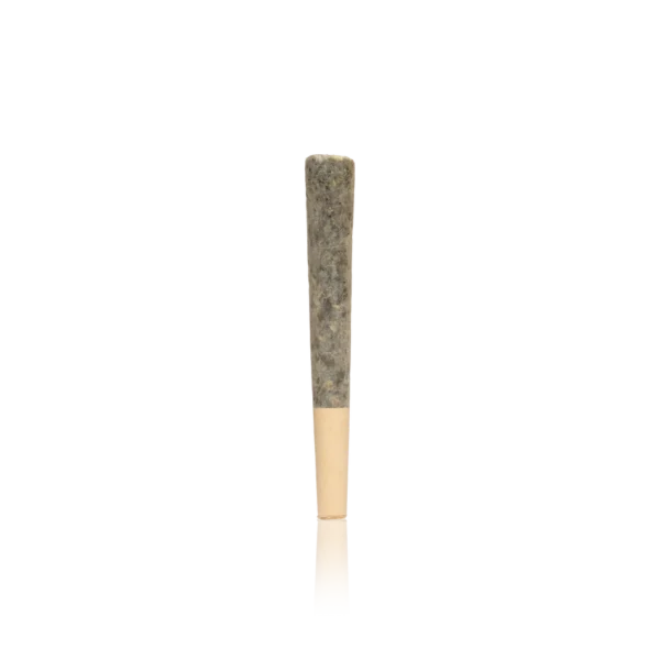 Authentic Sessions Infused Pre-Roll 1G - Image 2