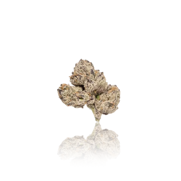 Authentic 12 Alarm Fire Premium Indoor Flower - Image 2