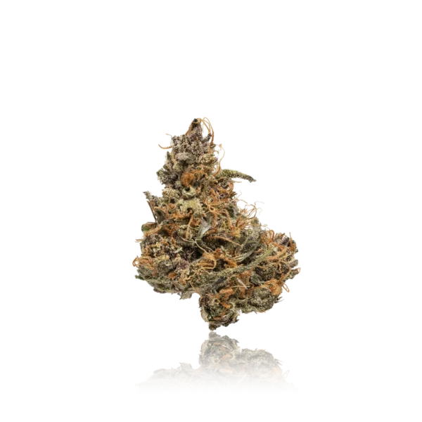 Authentic Moon Valley Living Soil Flower - Image 2
