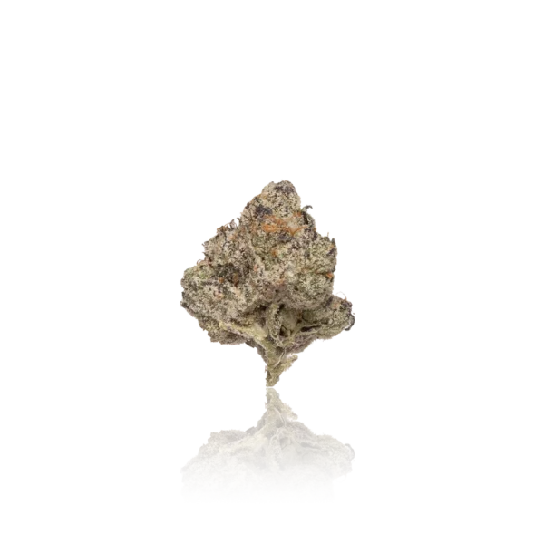Authentic Pack Gods Premium Indoor Flower - Image 2