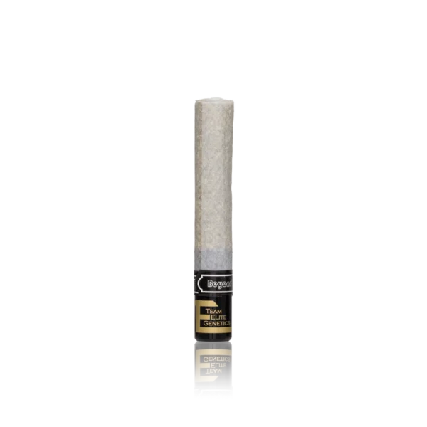 Authentic Team Elite Genetics Hash Hole - Image 2