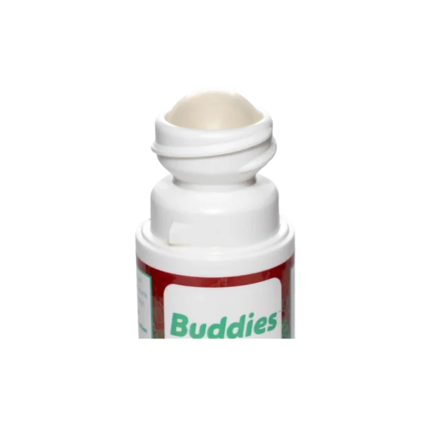 Authentic Buddies Fire & Ice Roll-On - Image 2