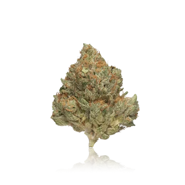 Authentic LAX Packs First Class Exotic Flower - Image 2