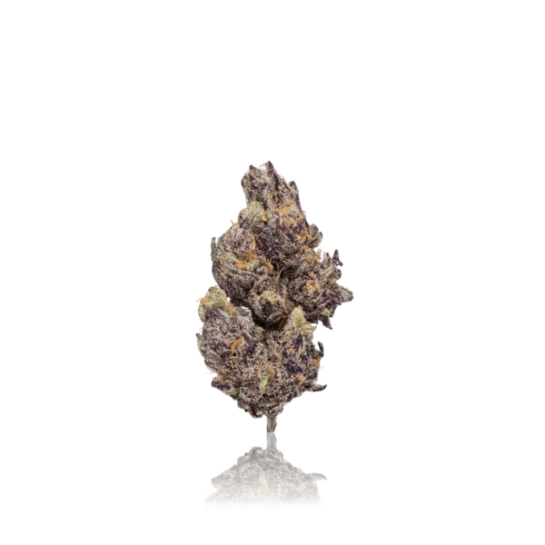 Authentic Life Is Not Grape Exotic Flower - Image 2