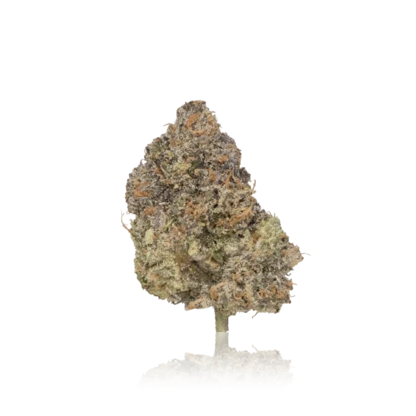 Authentic Turtle Pie Premium Cannabis Flower - Image 2