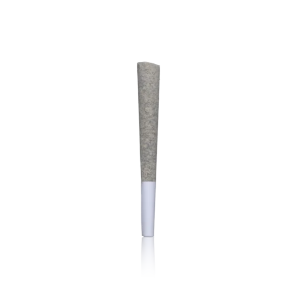 Authentic Biscotti 1g Hash Infused Preroll - Image 2
