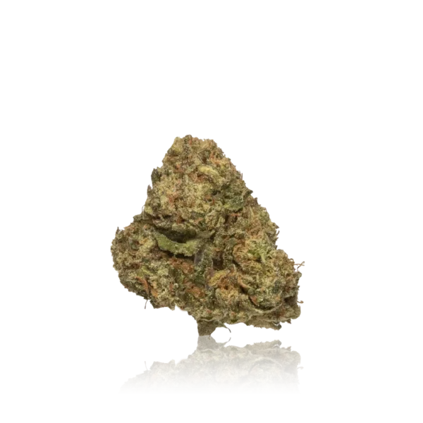 Authentic 8 Bit Buds Light Dep - Image 2
