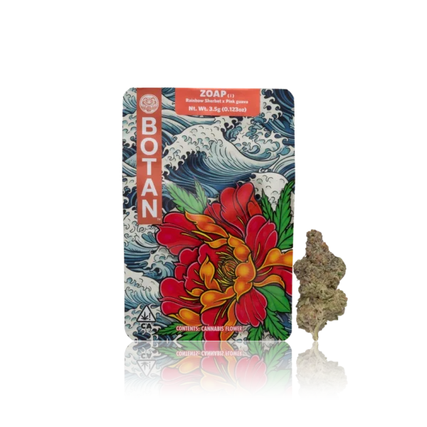 Catch A Cloud Botan Indoor Flower