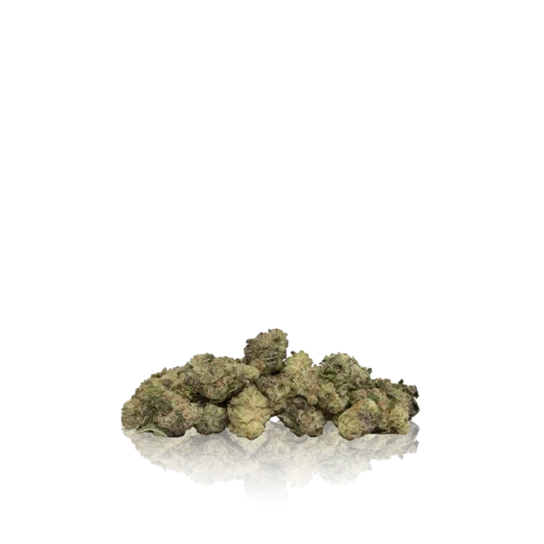 Authentic Floracal Premuim Indoor Smalls - Image 2
