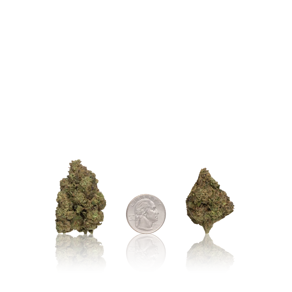 Motorbreath* - Image 2