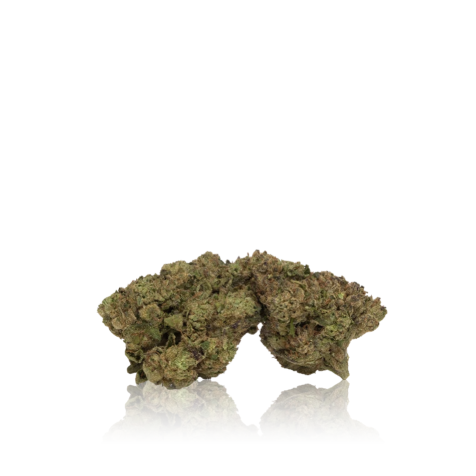 Motorbreath* - Image 3