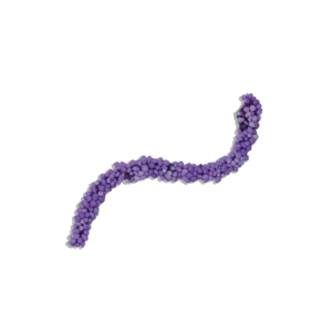 Devour Edible Nerds Rope