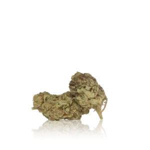 In-House Flower Budget Flower