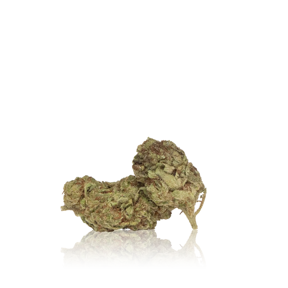 In-House Flower Budget Flower