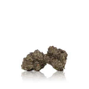 In-House Flower Bulk Exotic