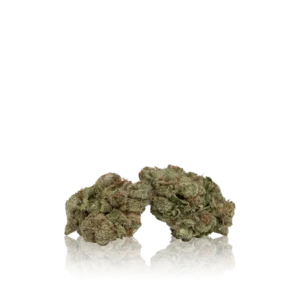 In-House Flower Bulk Premium