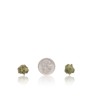 In-House Flower Bulk Premium Smalls