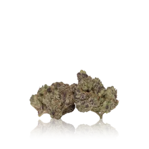 In-House Flower Exotic Flower