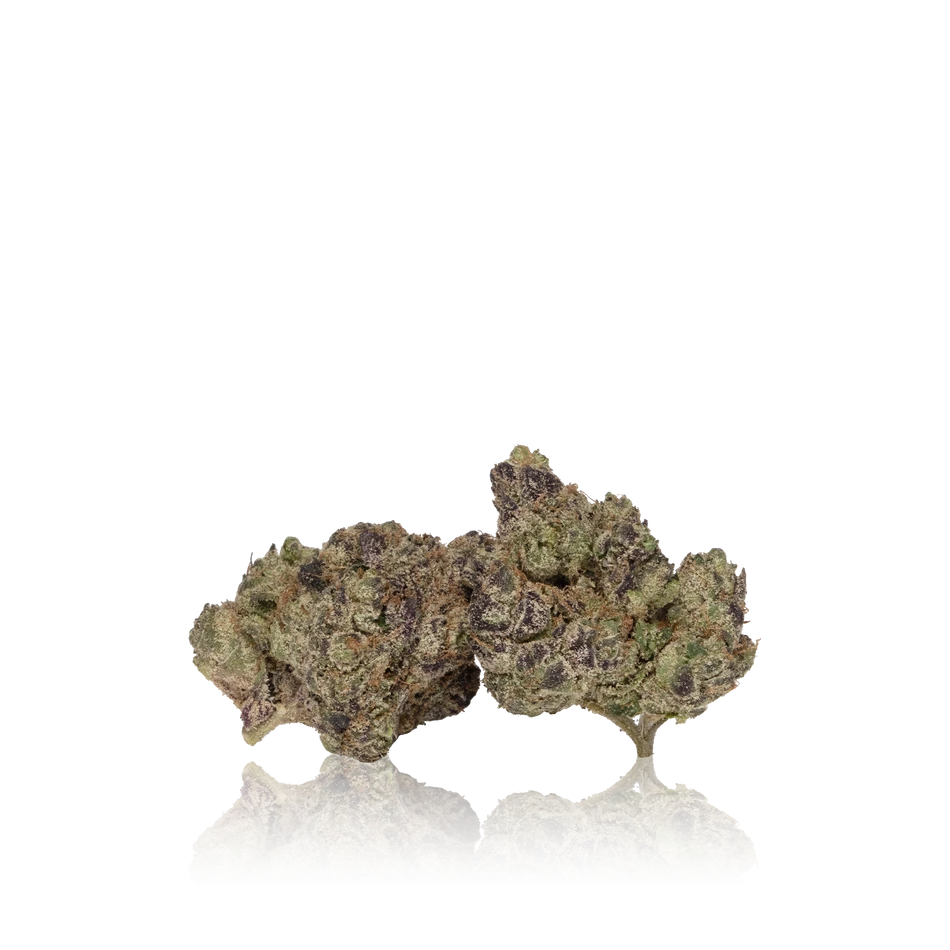 In-House Flower Exotic Flower