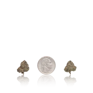 In-House Flower Exotic Smalls