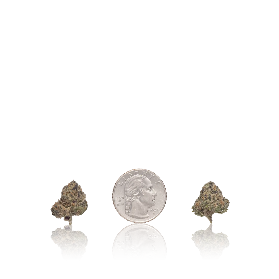 In-House Flower Exotic Smalls