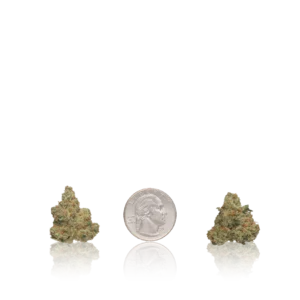 In-House Flower Premium Smalls