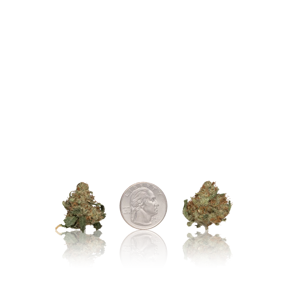 In-House Flower Untrimmed Premium Flower Smalls