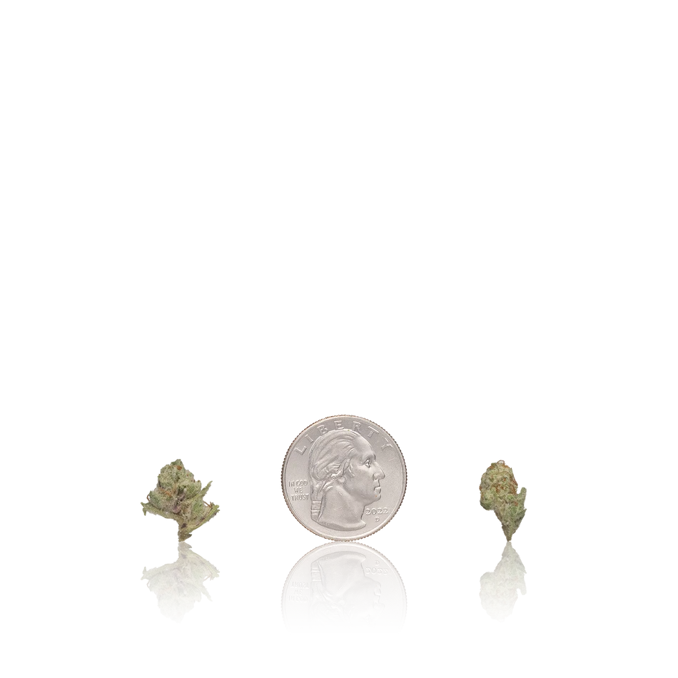 In-House Flower Value Smalls