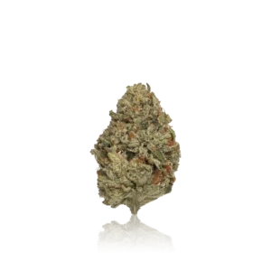 Jungle Boys Flower High Potency Flower