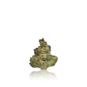 Xotic Flavorz Flower High Quality Small Buds