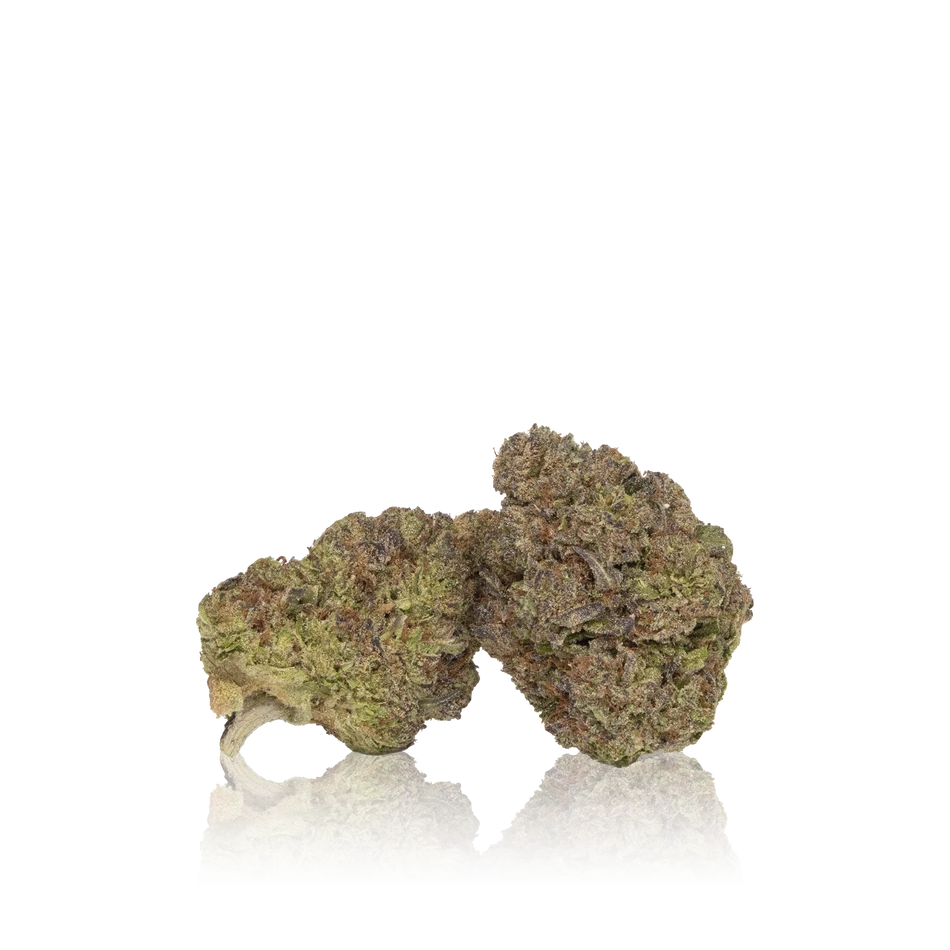 In-House Flower Bulk Budget - Image 3