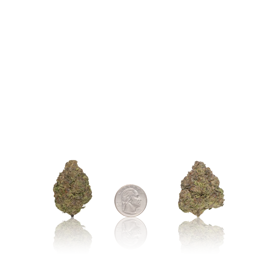 In-House Flower Bulk Budget - Image 2