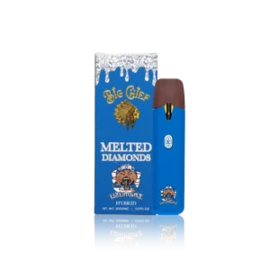 Big Chief Disposable On The Go Disposable