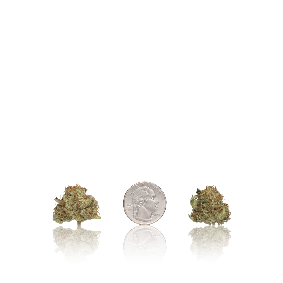 Vend 420 In-House Flower Untrimmed Premium Flower Smalls - Image 2