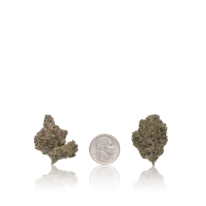 In-House Flower Bulk Premium