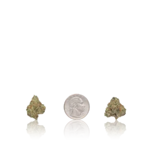 In-House Flower Bulk Premium Smalls