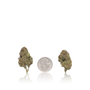 In-House Flower Bulk Value