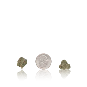 In-House Flower Premium Smalls