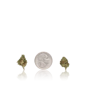 In-House Flower Value Smalls