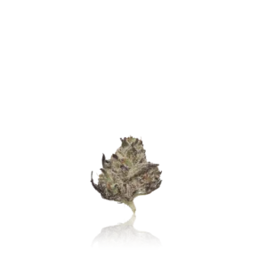 Authentic 3Bros Flower 1/4 Premium Indoor