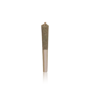 Authentic CLSICS Pre-roll Rosin Infused Pre-rolls 5PK.