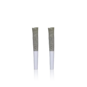 Authentic Cizi Pre-roll Infused Pre-Rolls 2PK.