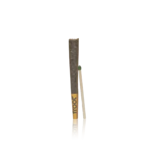 Authentic Froot Pre-roll Infused