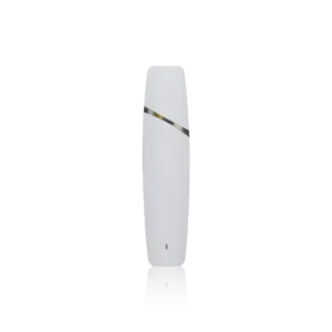 Authentic Gelato Disposable Classics Disposable AIO