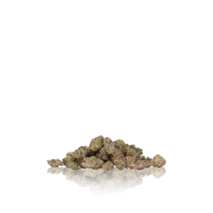 Authentic Gelato Flower Premium Indoor Smalls