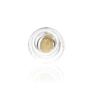 Authentic Humboldt Terp Council Concentrate Live Rosin