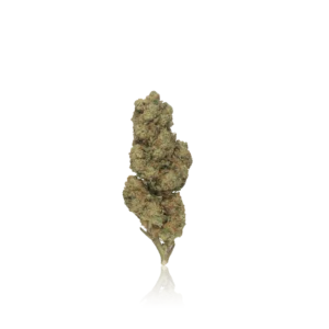 Authentic In-House Cart Budget Flower